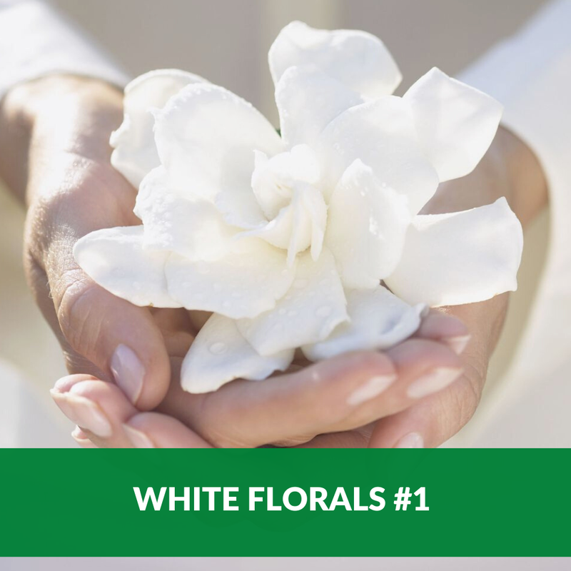 White Florals 1