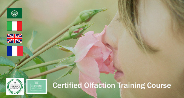 Learn Olfaction Training