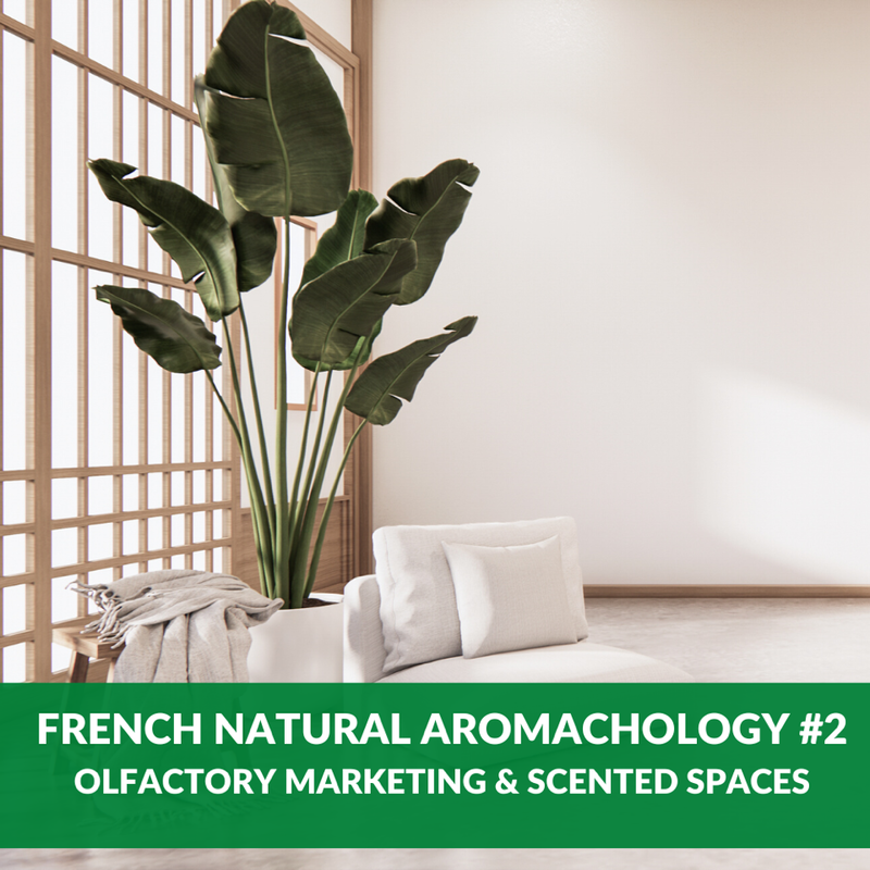 French Natural Aromachology Master Class 2