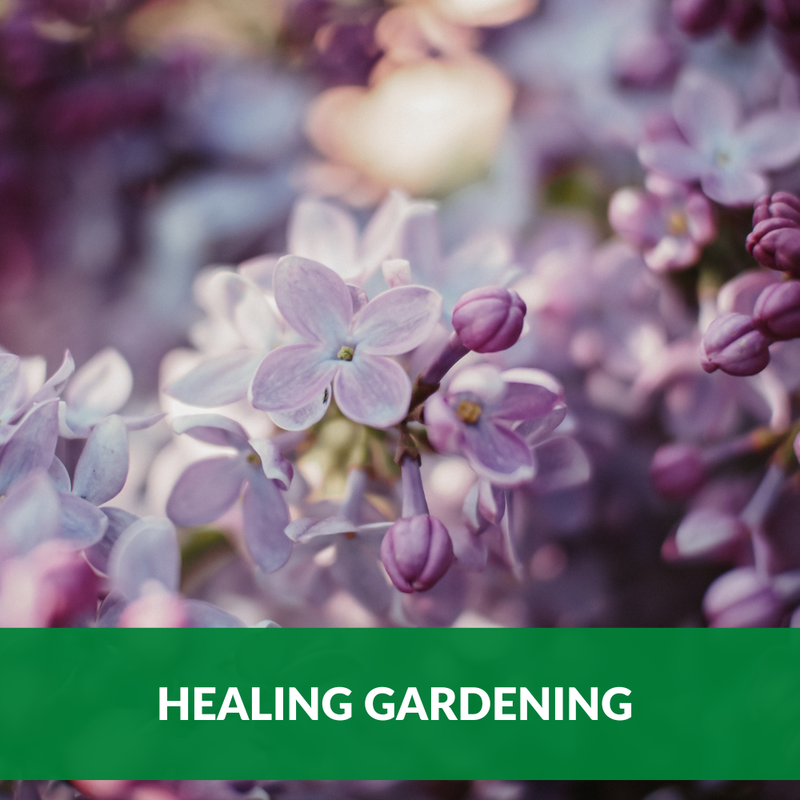 Healing Gardening