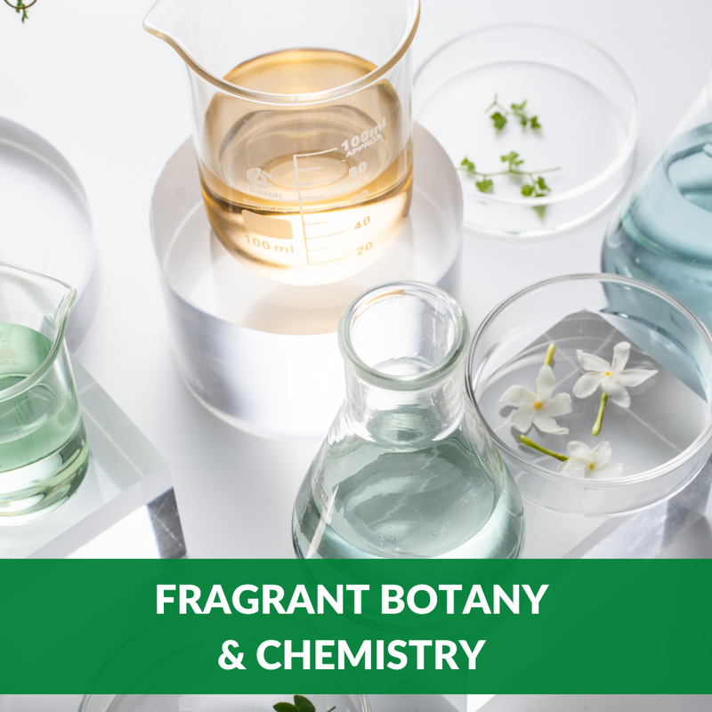 Fragrant Botany & Chemistry