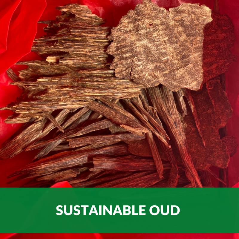 Sustainable oud