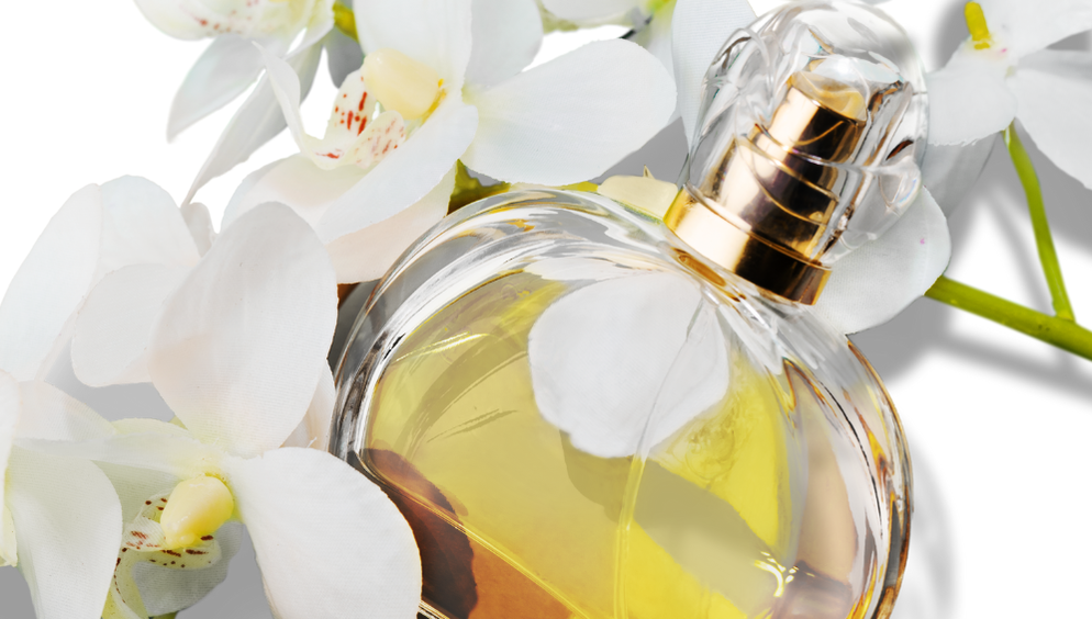 Natural Perfume Development