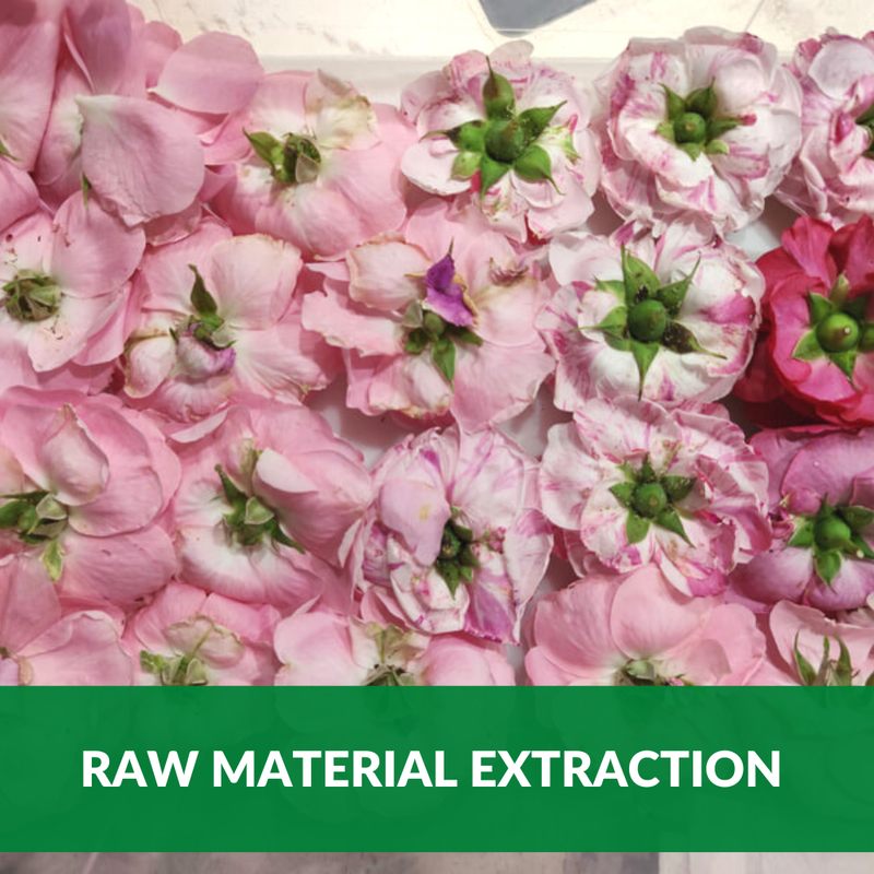 Raw Material Extraction